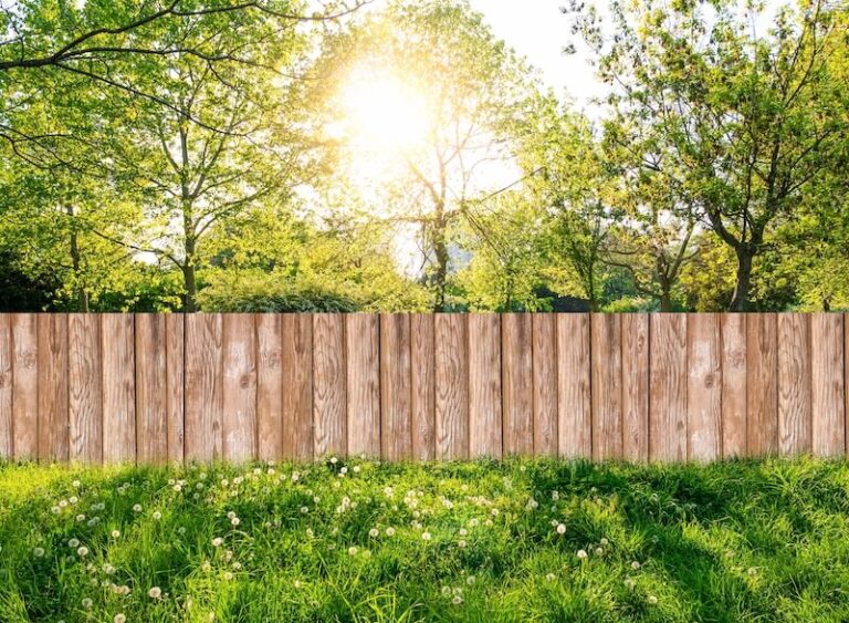 bigstock-Wooden-Garden-Fence-At-Backyar-291233341-1